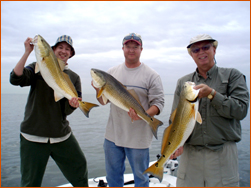 Galveston & Port O'Connor Fishing Galveston & Port O'Connor Fishing